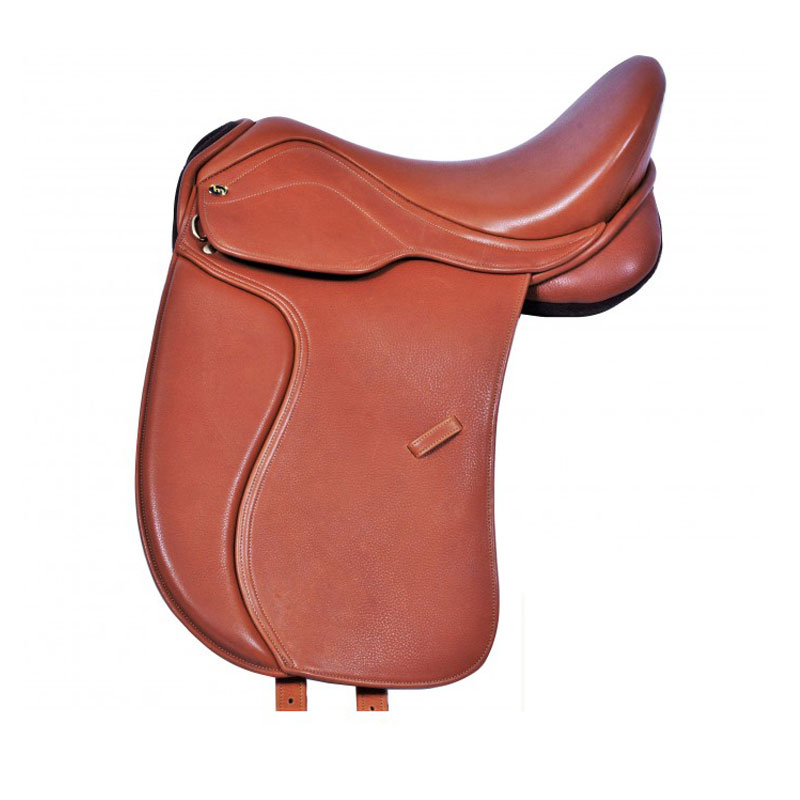 03 Saddle and Birhs - Image 1