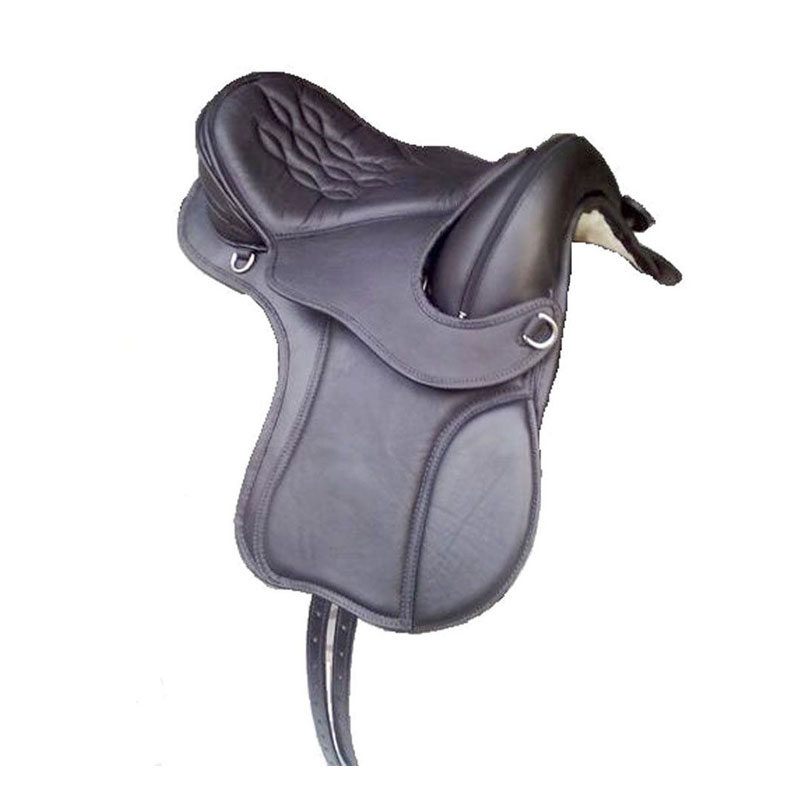 04 Saddle and Birhs - Image 1