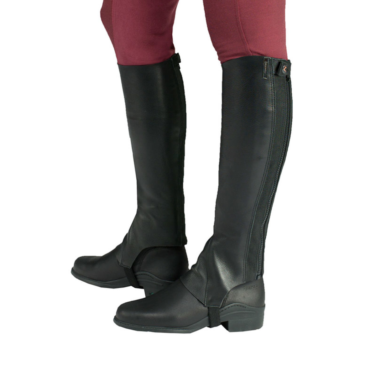 06 Leather Chap - Image 1